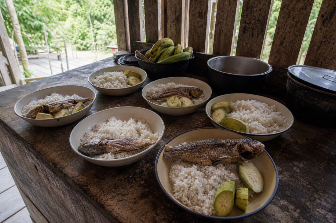 Bowls of plain cooked rice, green plantain and fresh fish laid out in a simple retreat kitchen
