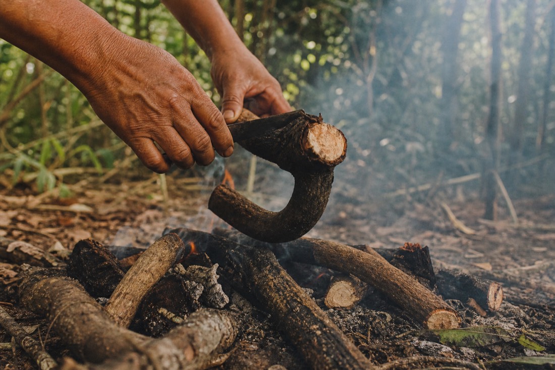 Hands preparing ayahuasca vine over a fire pit in a clearing, smoke drifting through trees
