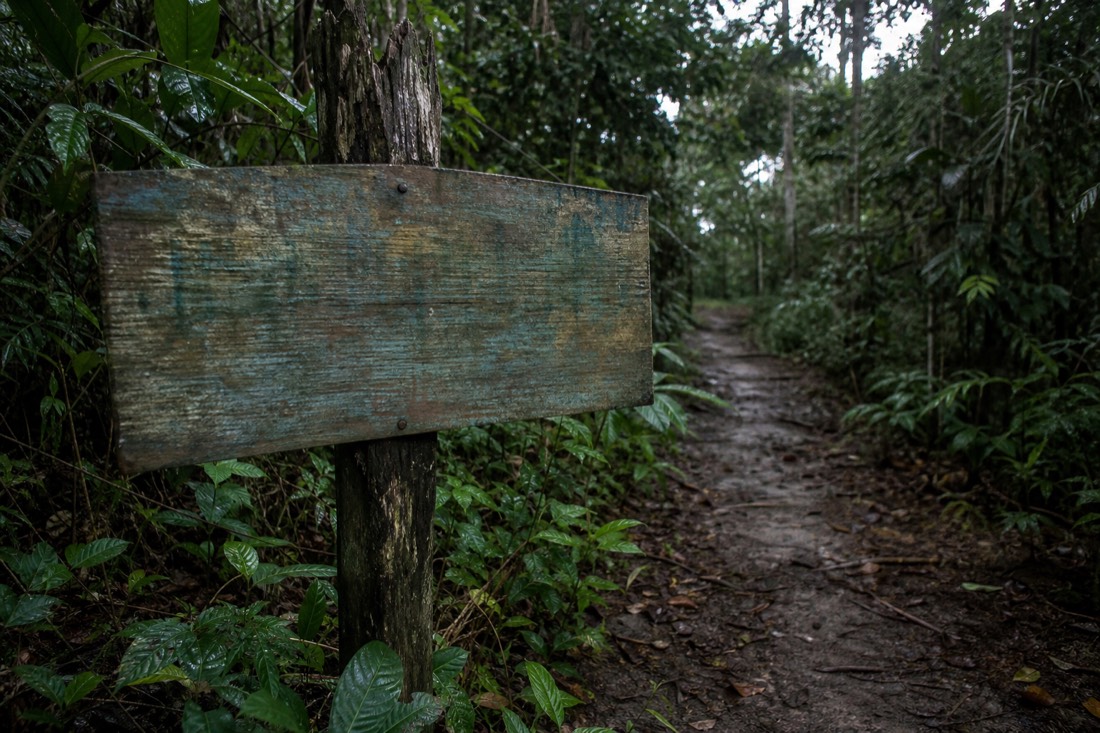 Weathered hand-painted wooden sign on a jungle path near Iquitos, letters faded and unreadable, overcast light