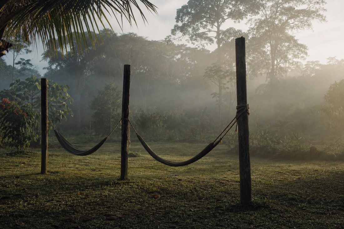 Morning mist over a jungle clearing with empty hammocks strung between wooden posts