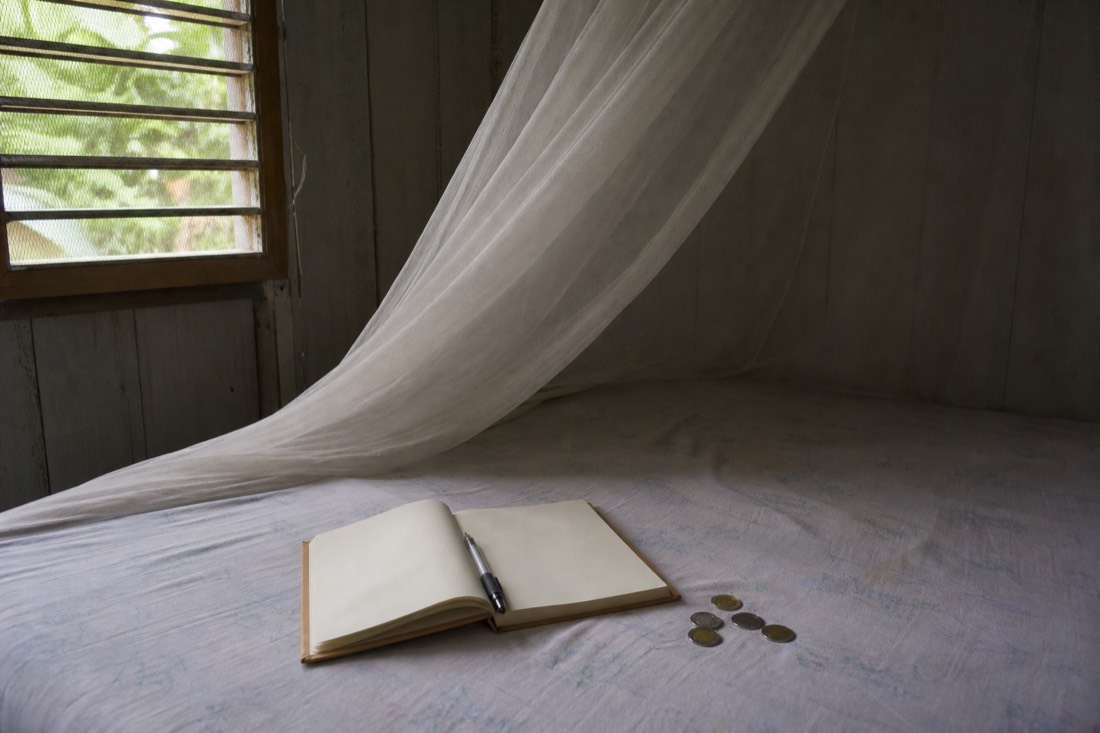 Open notebook, pen and Peruvian sol coins on a bed under a white mosquito net