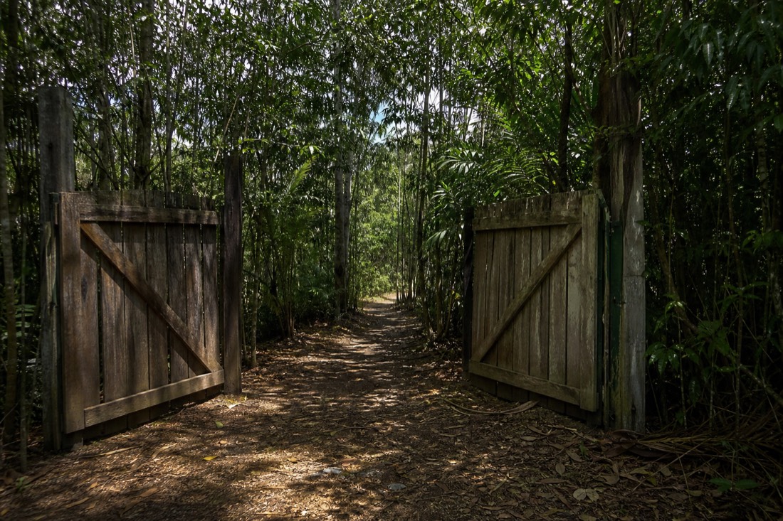 Rustic unmarked wooden gate at the entrance of a jungle lodge path in dappled light