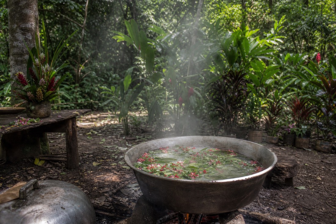 Plant-filled clearing at a jungle camp with steam rising from a pot of herbal bath water