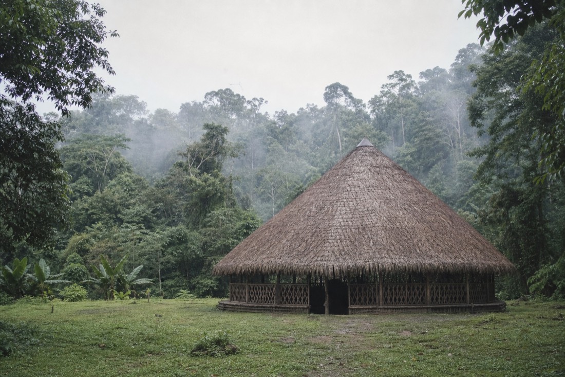 Traditional thatched maloca surrounded by dense green rainforest near Iquitos, soft morning mist