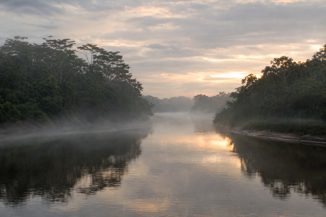 Quiet Amazon river bend at dawn with mist over the water near Iquitos