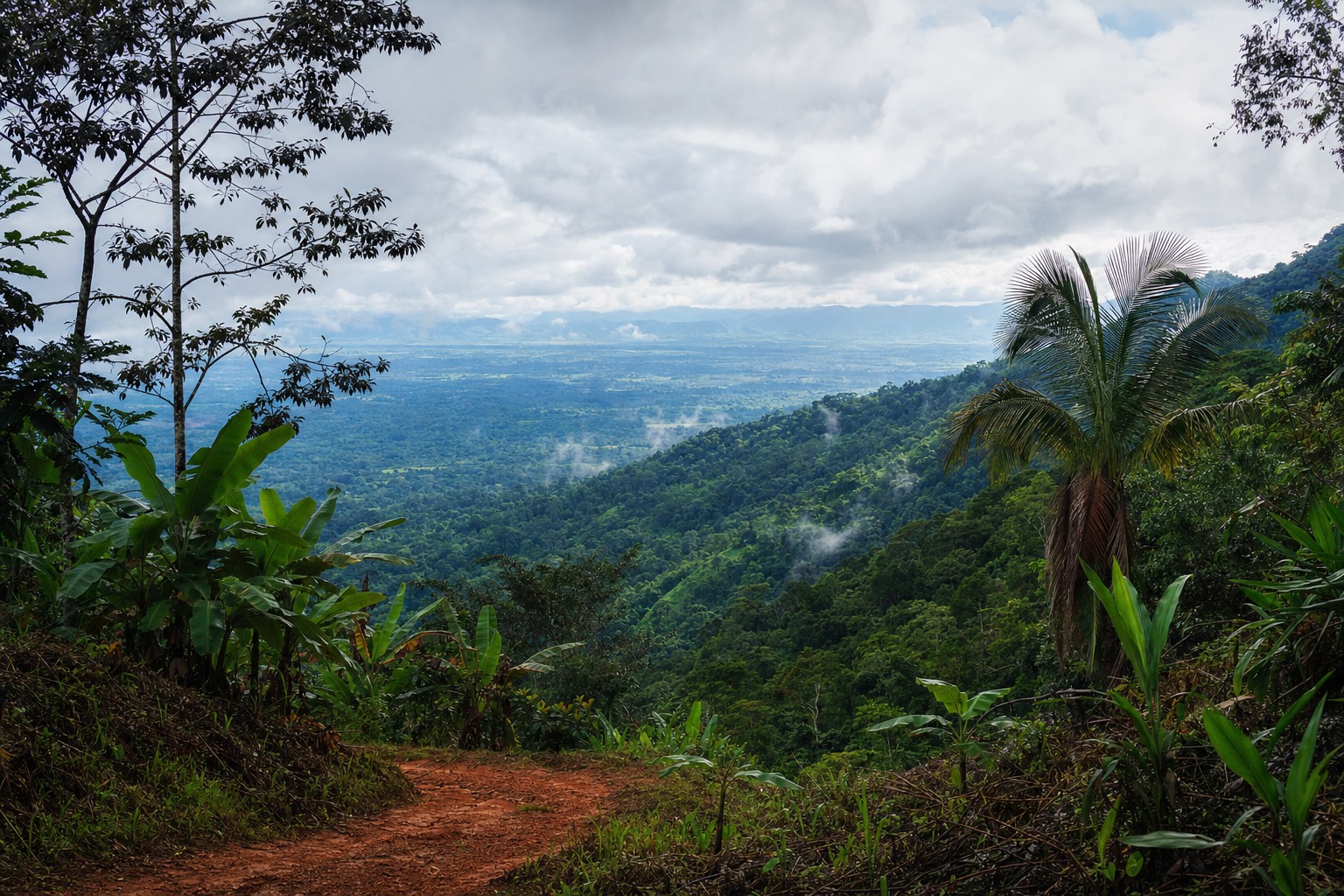 Jungle-covered hills and river near Tarapoto in Peru's San Martin region, the area around this center